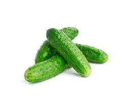 מלפפון מובחר