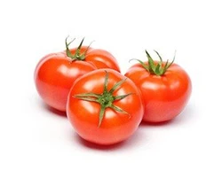 עגבניית אשכולות מובחרת