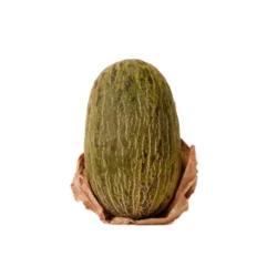 מלון ספרדי