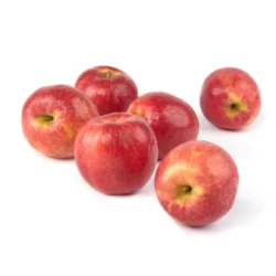 תפוח עץ פינק ליידי