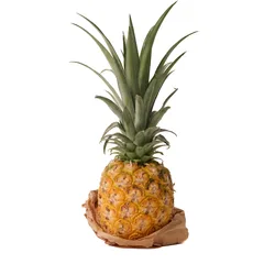 אננס דל מונטה