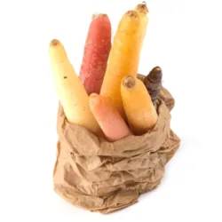 גזרים צבעוניים עונתיים - שליט