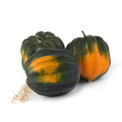 דלעת ערמונים