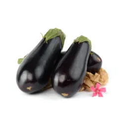 חציל חממה-יחידה