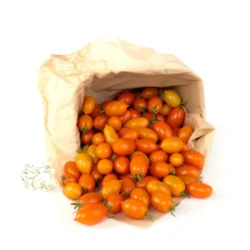 עגבניות שרי כתום