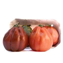 עגבניית לב השור