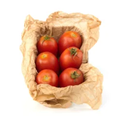 עגבניית תמר