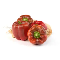 פלפל אדום (גמבה)