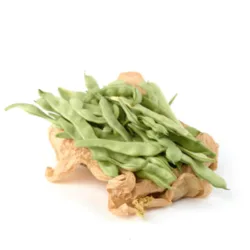 שעועית ירוקה רחבה