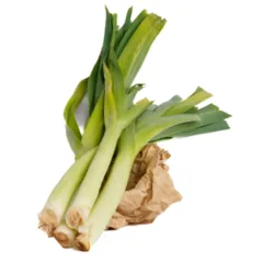 כרישה - פרסה