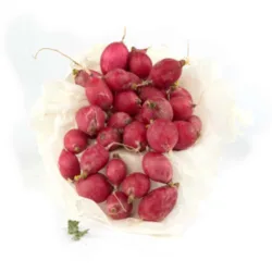 צנונית (דוד משה)