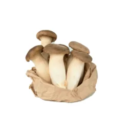 פטריות מלך היער