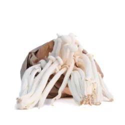 פטריות שינוקי