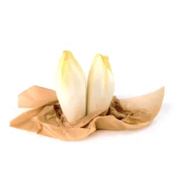 אנדיב (עולש)