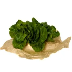 חסה ליטל ג'ם