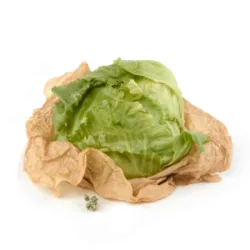 חסה עגולה אייסברג