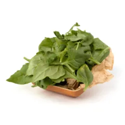 תרד ניו זילנדי