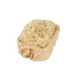 נבטי אלפלפא