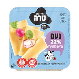 גבינה צהובה 22% 200 גרם טרה
