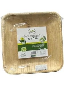 צלחות מרובעות 10 עלי דקל 10 יח'