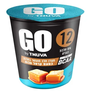 מעדן חלב גו 12 גרם חלבון בטעם קרמל מלוח