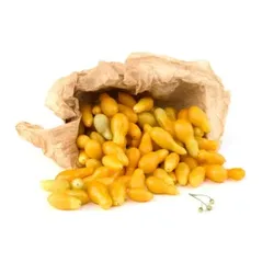 עגבניות שרי תות צהוב